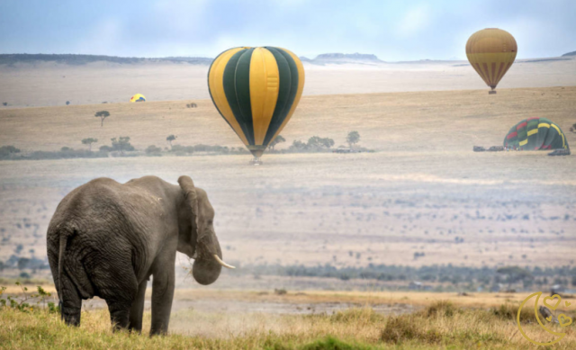 Idées pour une lune de miel au Kenya