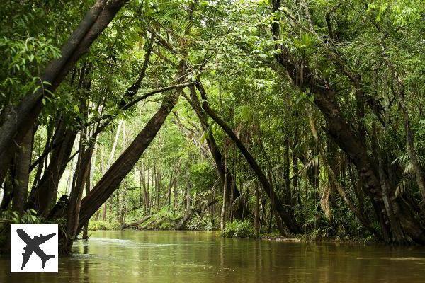 6 Lugares que visitar en la Guayana Francesa