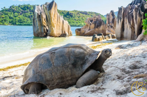 Ideias para uma lua-de-mel nas Seychelles