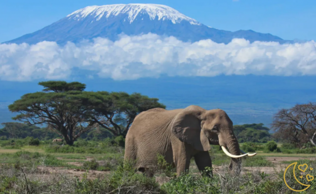 Idées pour une lune de miel au Kenya