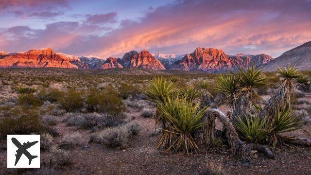 Visiter le Red Rock Canyon depuis Las Vegas : billets, tarifs, horaires