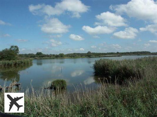 Visiter le Parc naturel régional de la Brenne : guide complet