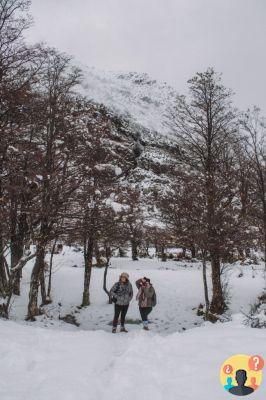 Patagonia cilena – Tour attraverso Chaitén, Futaleufú e Palena