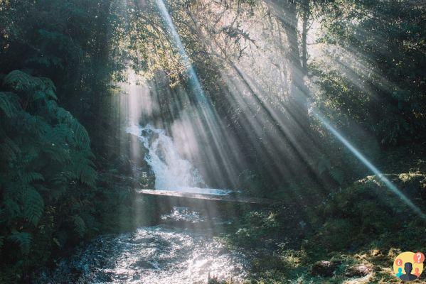 Patagonia cilena – Tour attraverso Chaitén, Futaleufú e Palena