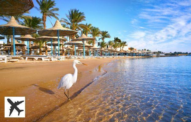 Las 9 cosas que hay que hacer en Hurghada