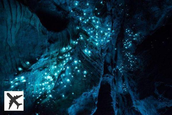 En Nouvelle-Zélande, les grottes de Waitomo sont illuminées par des vers luisants