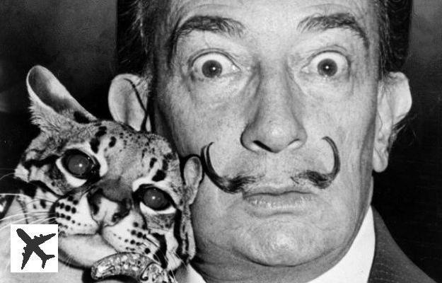 À la découverte de l’artiste Salvador Dalí
