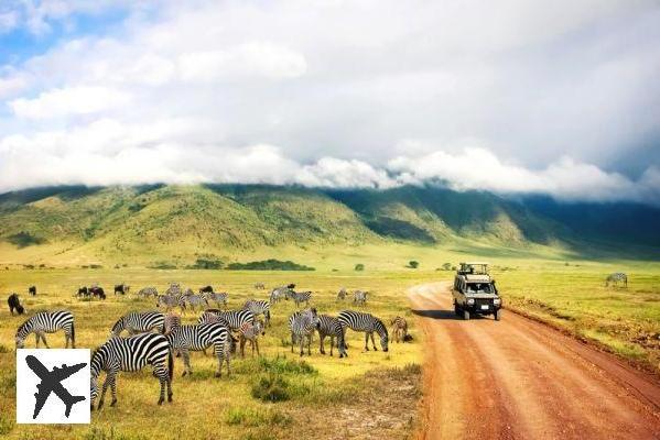 Les 9 meilleurs safaris à faire en Tanzanie