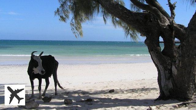 Comment atteindre Ramena, la plus belle plage de Madagascar ?