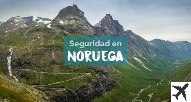 Segurança norueguesa