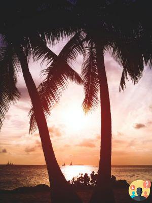 Key West – Travel Guide