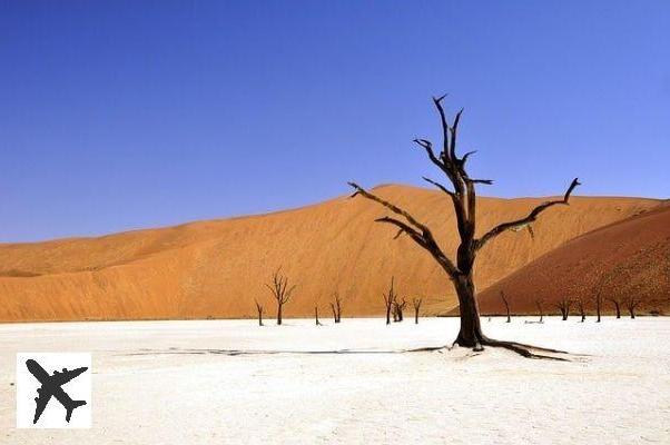 Dead Vlei, beau à mourir