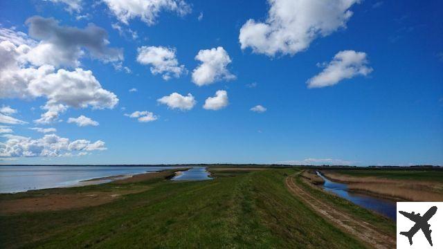 Que voir sur l'île de Romo