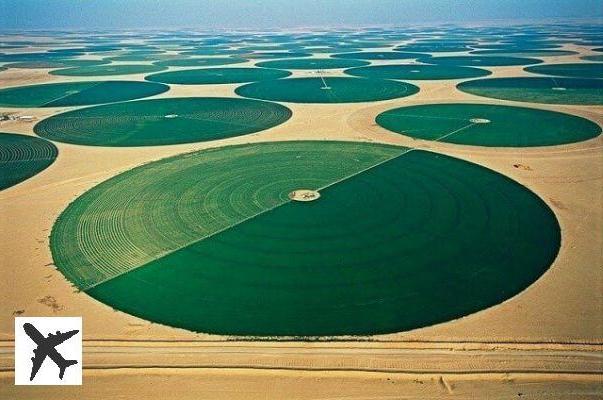 Des terres agricoles en plein désert de Wadi Rum en Jordanie