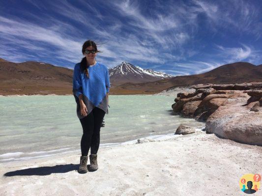 Atacama Tour in Cile