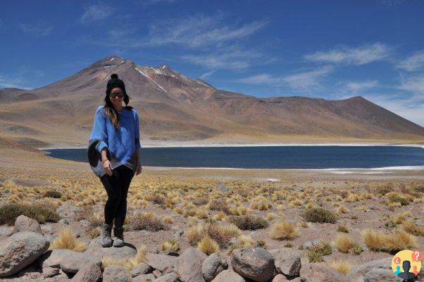 Atacama Tour in Cile