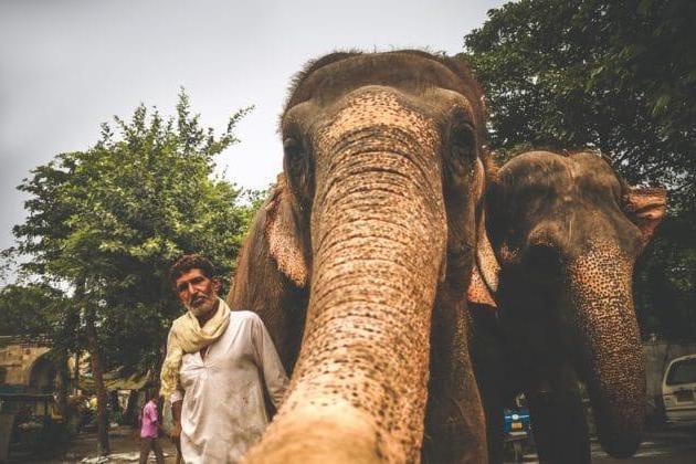 Dans quel quartier loger à Ahmedabad ?