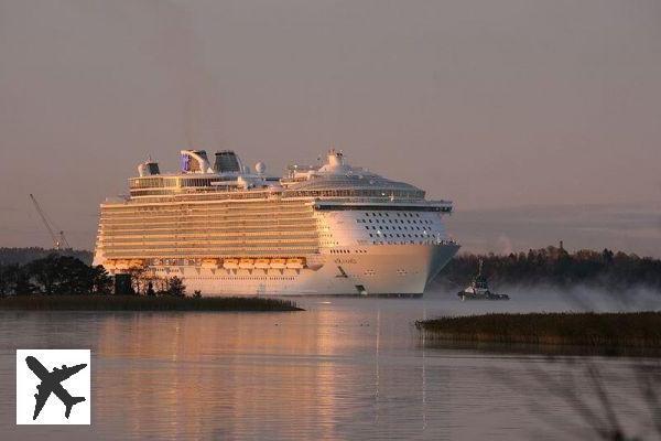 Les chiffres fous à bord d’un des plus grands bateaux de croisière au monde