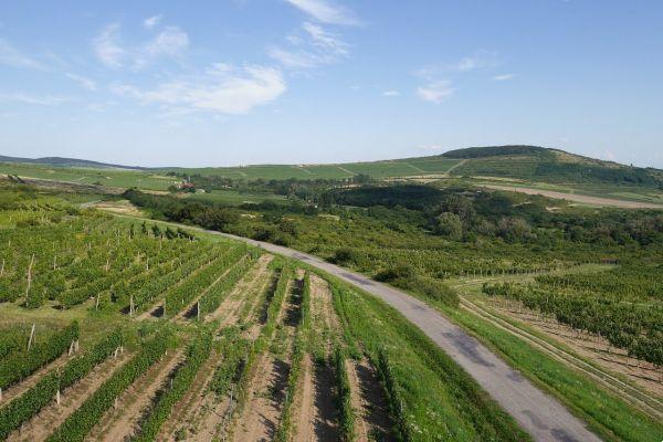 What to see in Tokaj