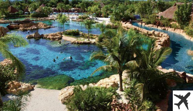 Discovery Cove – What it's like to visit the Florida park