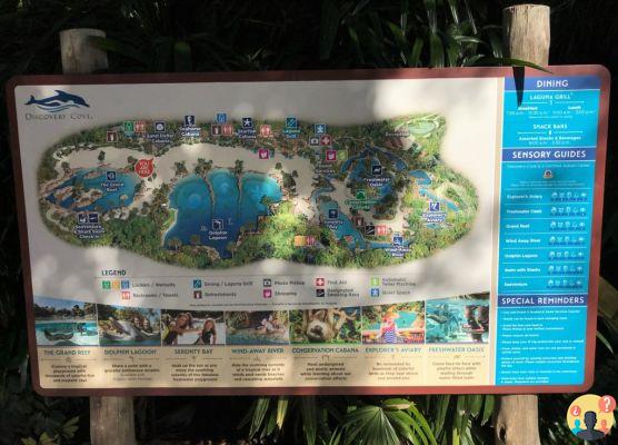 Discovery Cove: cómo es visitar el parque de Florida