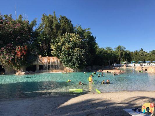 Discovery Cove – Qu'est-ce que c'est que de visiter le parc de Floride