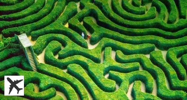 Le labyrinthe végétal de Longleat