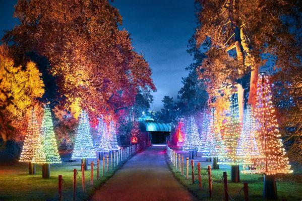 Natale a Kew acquista i biglietti Kew Gardens Natale Londra