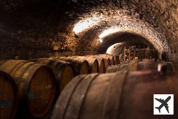 Où faire une dégustation de vin dans le Jura ?