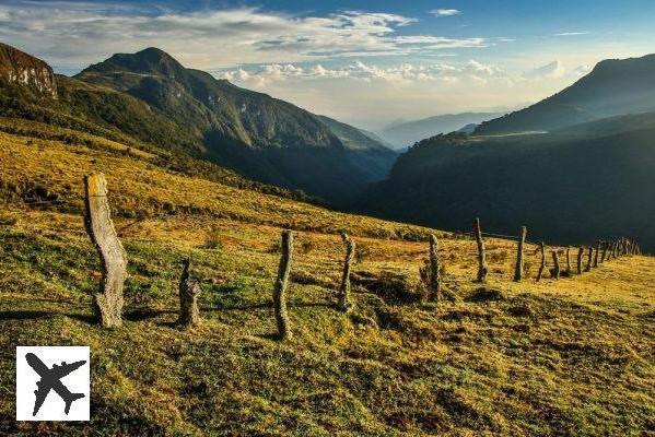 Virée luxuriante au parc de Los Nevados en Colombie