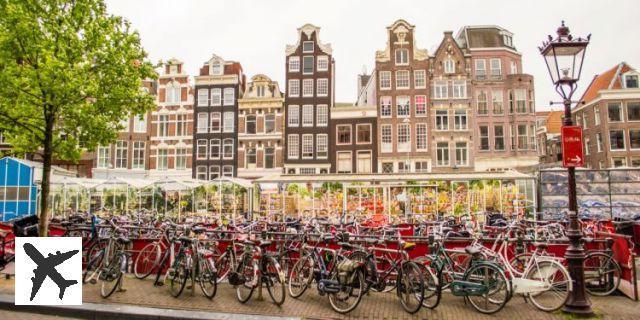 Transports à Amsterdam : comment se déplacer à Amsterdam ?