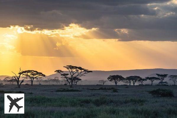 15 réserves africaines où faire un safari inoubliable