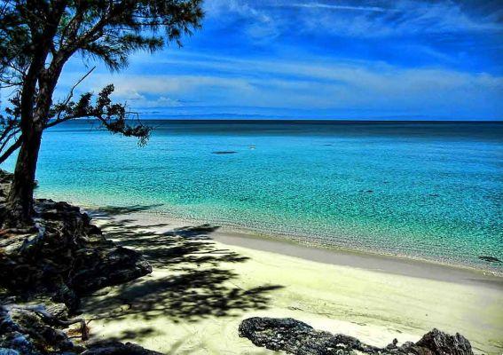 Bahamas Islands: When to go, tips, curiosities and main destinations