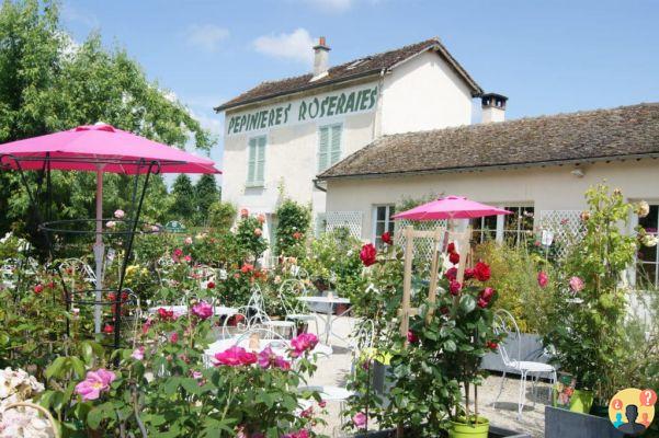 Provins, Francia: cómo llegar, cuándo ir, qué hacer y las principales atracciones