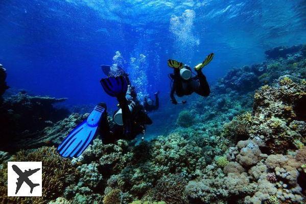 Les 10 plus beaux spots de plongée en Nouvelle-Calédonie