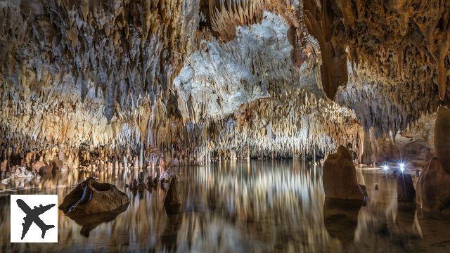 Cosa vedere e fare alle Isole Cayman