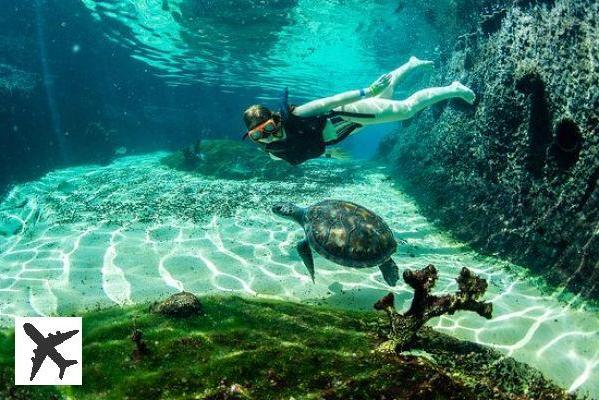 Qué ver y hacer en las Islas Caimán