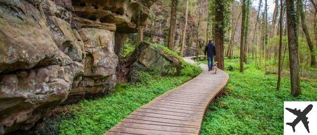 Sentier Mullerthal Luxembourg senderismo