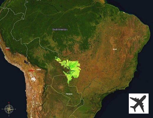 Le Pantanal au Brésil: le plus grand marais du monde