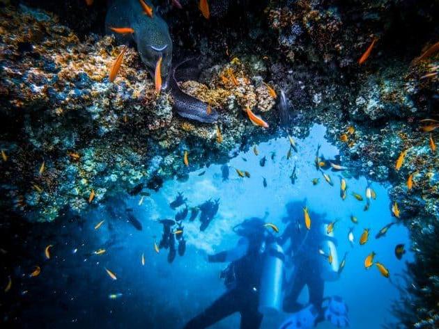Los 9 mejores lugares de buceo en Cabo Verde