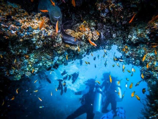 Les 9 meilleurs spots de plongée au Cap Vert