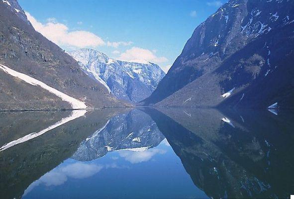 What are the largest fjords in the world?