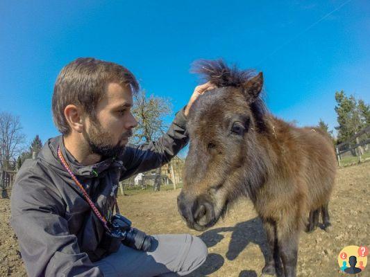 How to volunteer around the world