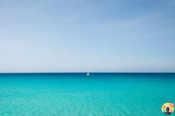 ¿Cuándo ir a Ibiza? Aprende sobre el clima y qué hacer (mes a mes)