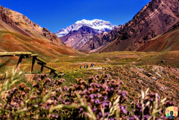 Aconcagua - Tout pour planifier votre voyage vers le plus haut sommet d'Amérique