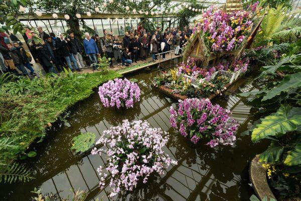 Festival des orchidées de Londres