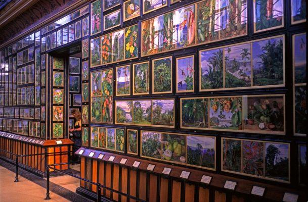 Histoire de Marianne North Peintre de plantes carnivores Exposition d'art permanente Kew Gardens Londres