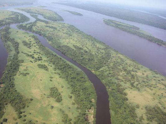 Top 10 Longest Rivers in the World