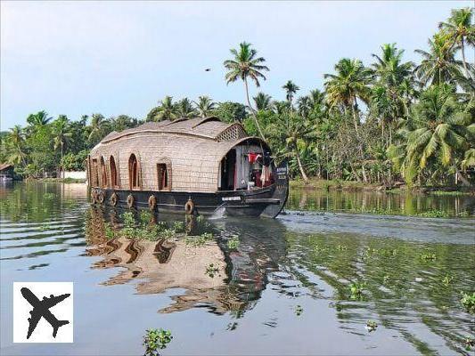 Le Kerala, un paradis tropical en Inde