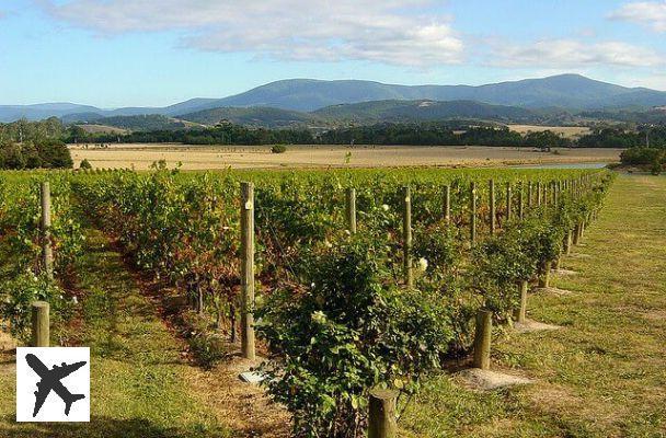 Visiter la Yarra Valley avec dégustation de vins et spécialités